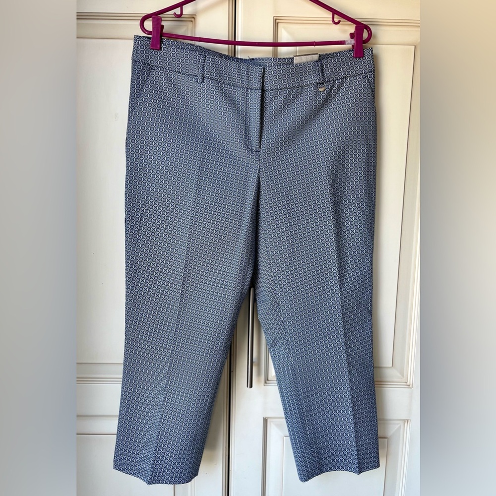 🍊 Dalia capri. NWT. Size 12. Beautiful blue pattern